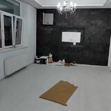 Corneliu Coposu, Piata Sfanta Vineri